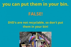 True-or-False_DVDs-GFL