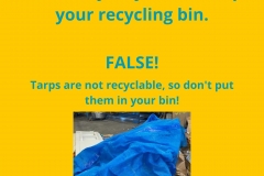 True-or-False_Tarp-GFL